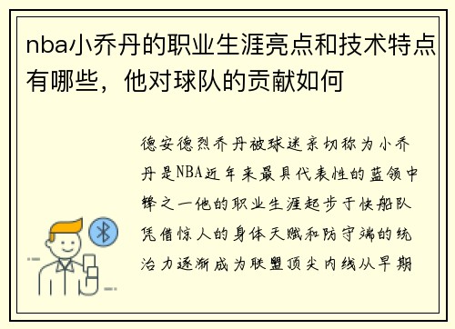 nba小乔丹的职业生涯亮点和技术特点有哪些，他对球队的贡献如何
